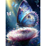 Kit de peinture par numero - Papillon Opalin