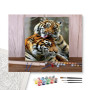 Contenu du kit - Tendresse de Tigres Royaux