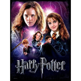 Kit de peinture par numero - Hermione L’Héritage de la Magie Harry Potter