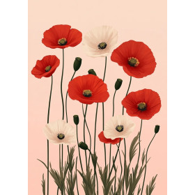 Peinture par Numéro Champ de Coquelicots Flamboyants