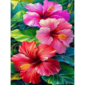 Peinture par Numéro Éclat d'Hibiscus Flamboyants