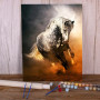 Kit de peinture par numero - Le Cheval Ibérique au Galop Solaire