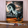 Kit de peinture par numero - Étalon Noir Sauvage et Terre de Feu
