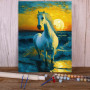 Kit de peinture par numero - Cheval Blanc sur l'Océan au Soleil Couchant