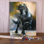 Kit de peinture par numero - Cheval Noir Fougueux Mystique