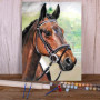 Kit de peinture par numero - Portrait Cheval Dressage Détaillé