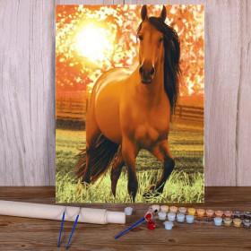 Kit de peinture par numero - Cheval des Prairies Paisible
