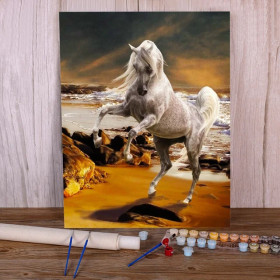 Kit de peinture par numero - Cheval Blanc Fougueux