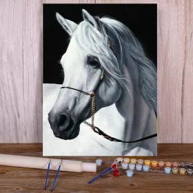 Kit de peinture par numero - Majestueux Andalou Blanc Élégance Pure