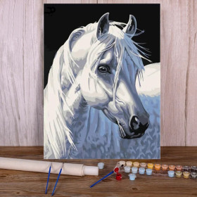 Kit de peinture par numero - Cheval Nacré