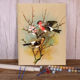 Kit de peinture par numero - Duo de Bouvreuils au Printemps : Éclat Naturel