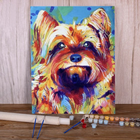 Kit de peinture par numero - Yorkshire Terrier Regard Coloré